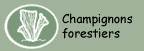 Champignons forestiers